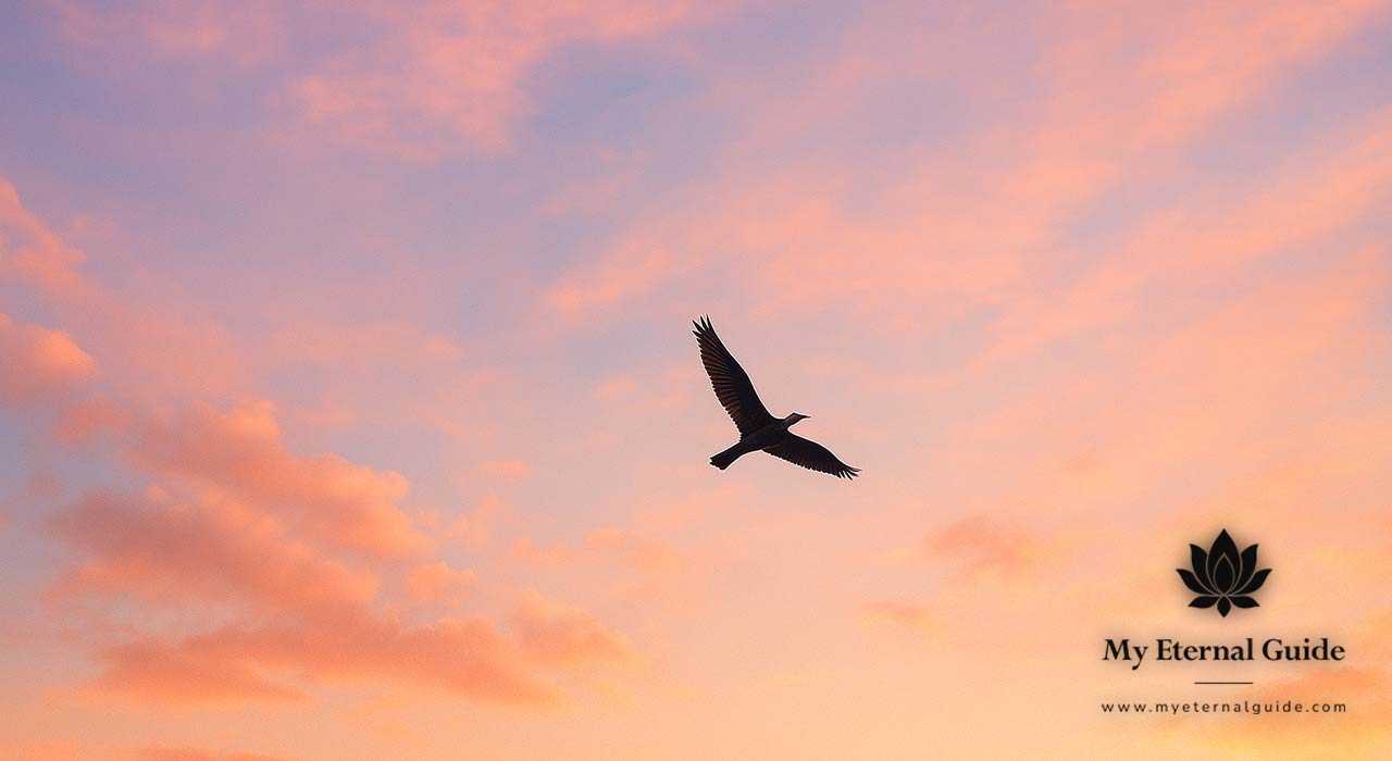 Freedom-from-Guilt-and-Regret